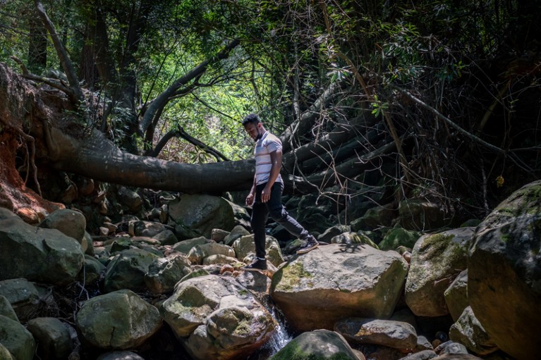 Grajevis Bakatunkanda, who has sickle cell anaemia, stands in Newlands Forest in Cape Town South Africa.