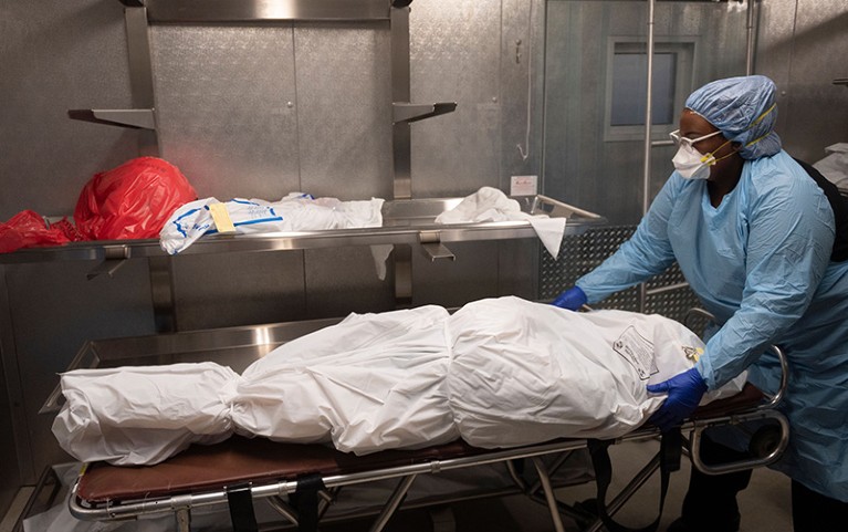 A person in protective gear moves a shrouded body on a trolley.