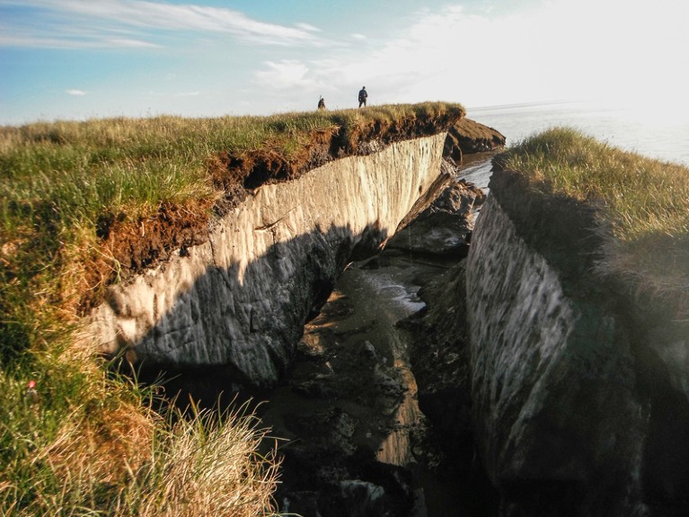 A crevasse in Alaska reveals ice-rich permafrost that has been exposed by coastal erosion