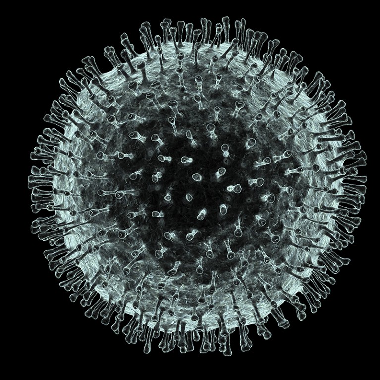 Computer artwork of a Human coronavirus particle