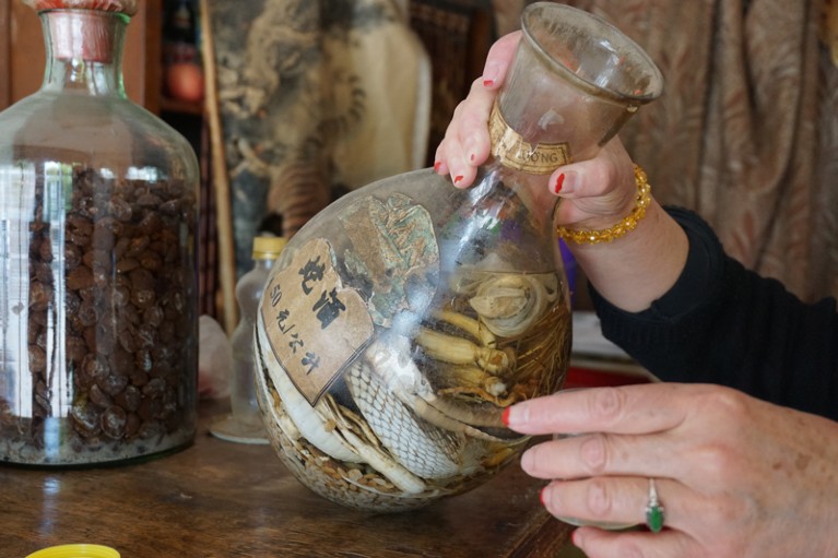 Old jar of snake wine found in Kunming, Yunnan, China