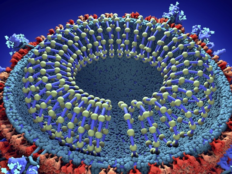 Coronavirus particle, illustration.