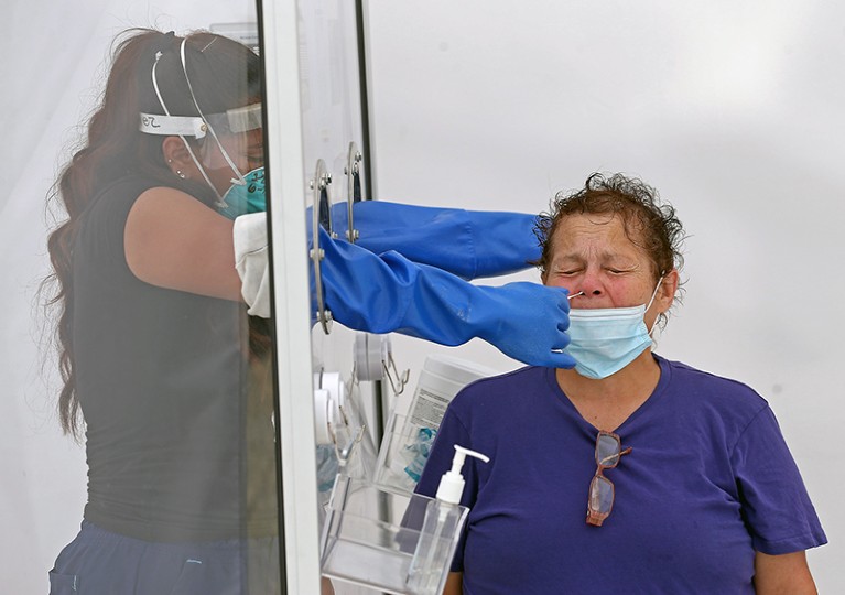 A medical assistant inserts arms through holes in a screen to swab a person’s nose at a COVID-19 testing site.