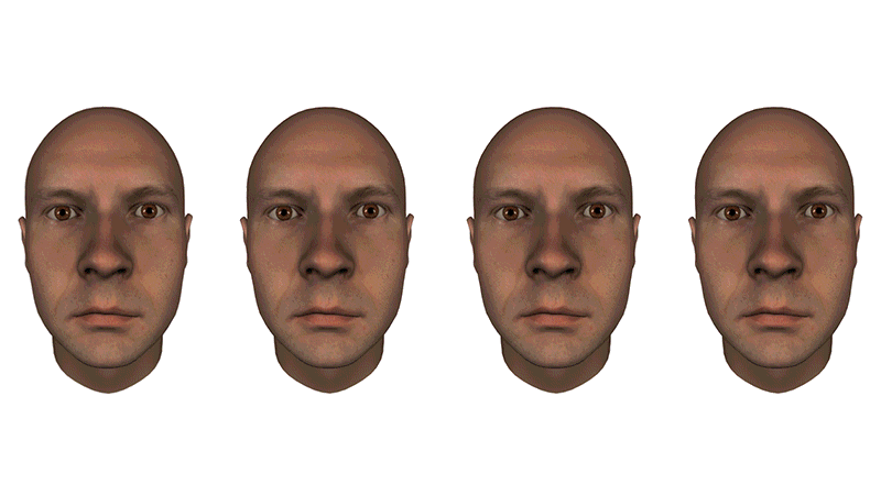 Animated clip of four computer generated faces demonstrating individual facial movements which are then combined