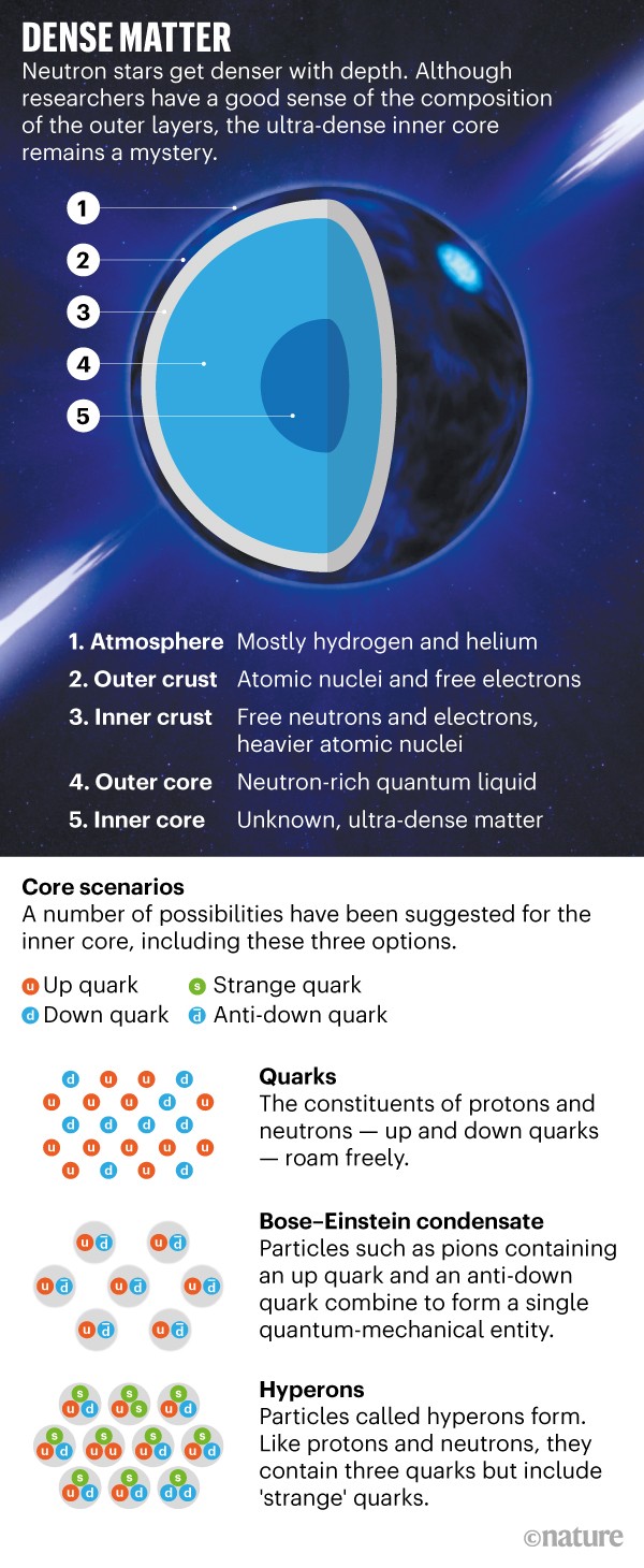 Describes the interior of a Neutron Star and possible scenarios for composition of its dense inner core.