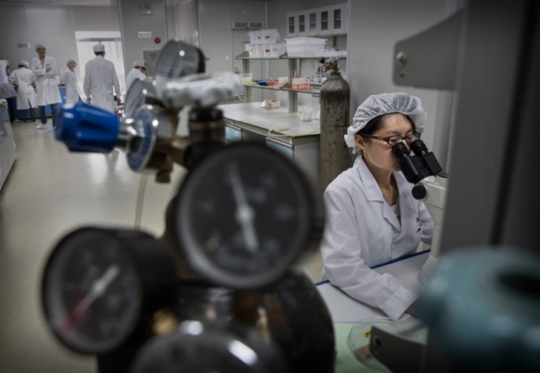 一名中国实验室技术人员通过显微镜观察，而一群穿着实验室大褂的人在背景中工作