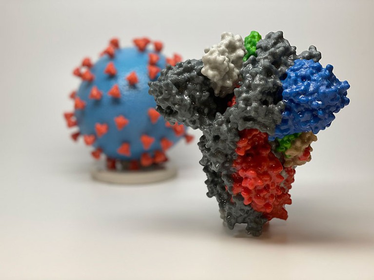 A 3D print of the spike protein of SARS-CoV-2