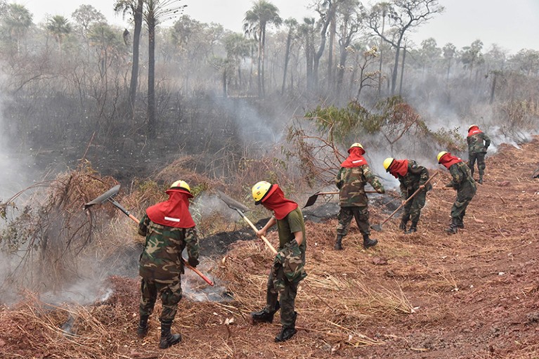 Soldiers attempt to smother smouldering parts of a forest