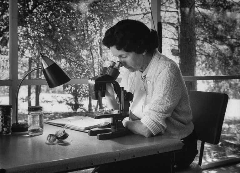 In a black and white photo Rachel Carson looks through a microscope while sitting at a desk