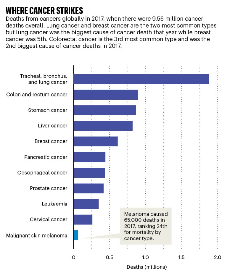 Bar chart showing the global number of deaths from various types of cancer in 2017