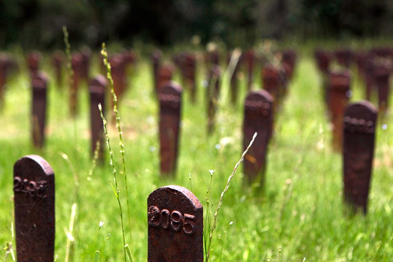 Iron markers, displaced from graves over the years, stand in memorial of psychiatric patients buried at the Milledgeville asylum