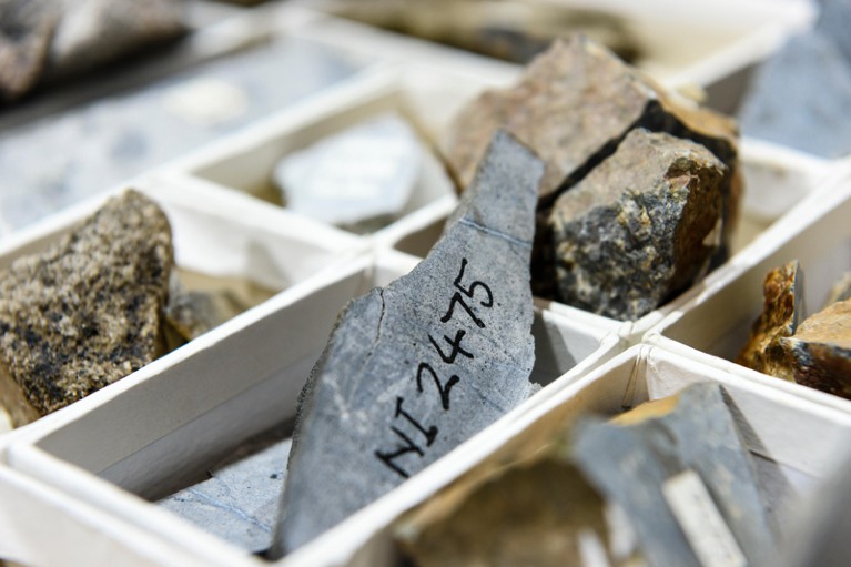 labelled rock samples in containers