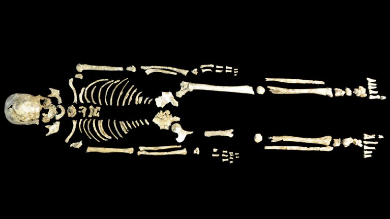 Ancient human genomes shed new light on East Asia's history