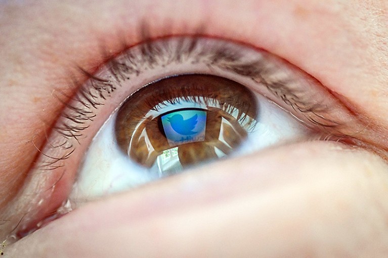 An eye with the reflection of the Twitter logo