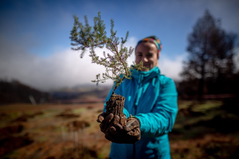 A woman standing in a mountainous landscape holds a small sapling of heather ready to be planted