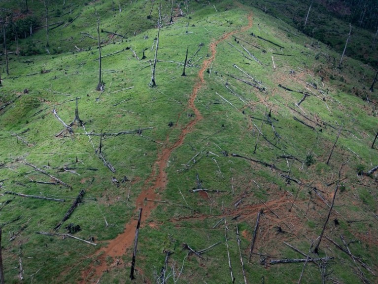 Deforestation of hillsides in Guatemala.