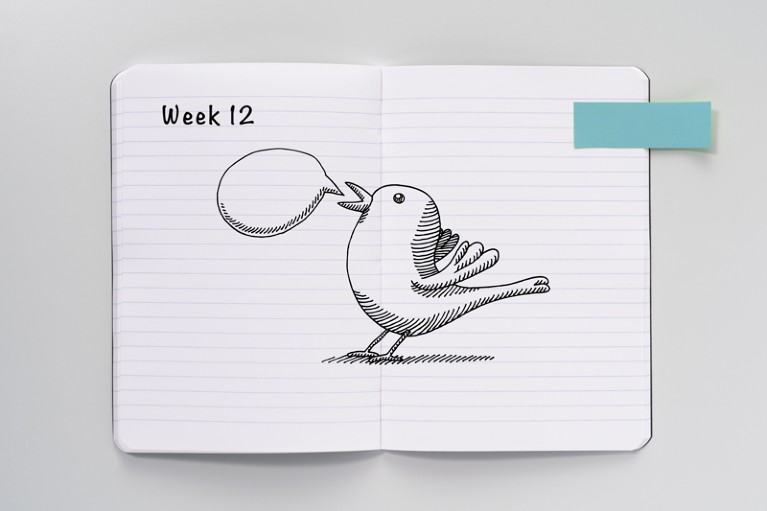 Open notebook with a sketch of a tweeting bird