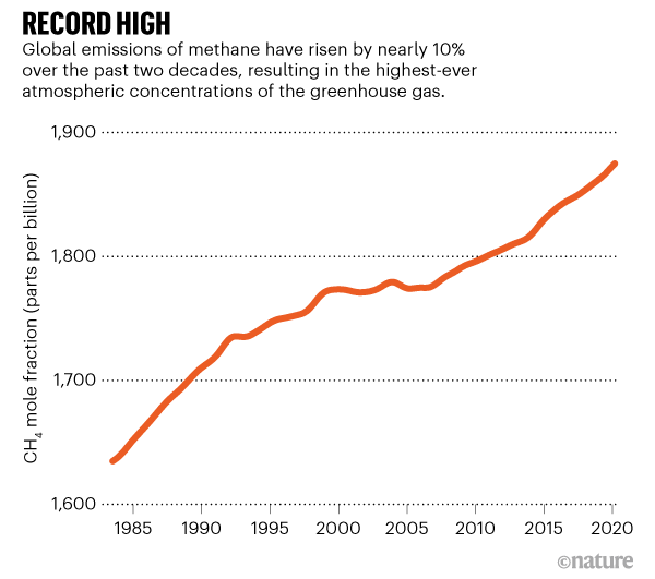 Global methane levels soar to record high