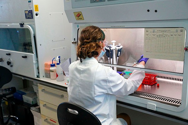 A scientist working at the Oxford Vaccine Group's laboratory facility in Oxford