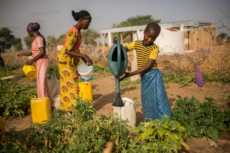 Two women and a girl in water their garden in Senegal