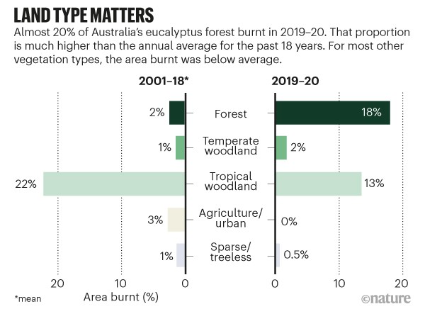 Land type matters. Bar chart showing the different land types burnt in 2019/2020 compared to the mean average for 2001 to 2018.