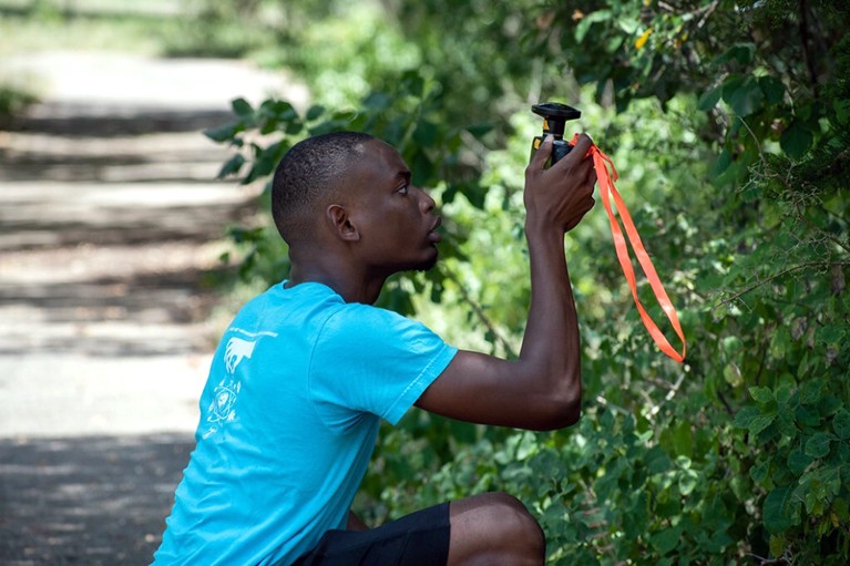 A man taking measurements of foliage.