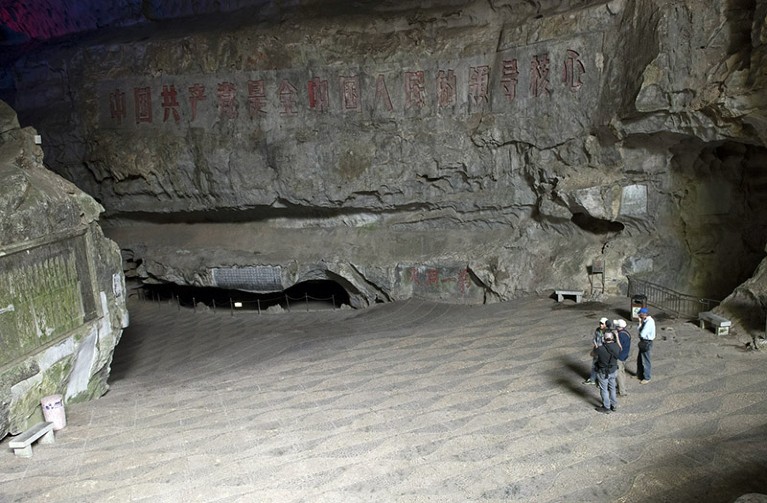 Researchers are observing a cave which is home to bats at The Seven Star Park in Guilin