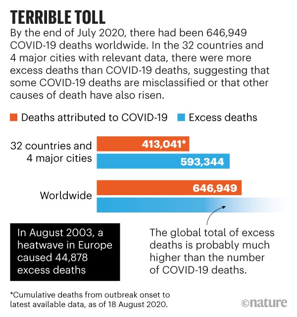 Infographic: Terrible toll. It is likely that the amount of deaths caused by COVID-19 is higher than the number recorded.