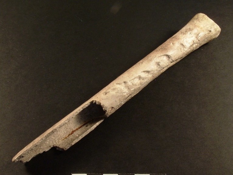 An ancient whistle was crafted from a human thigh bone