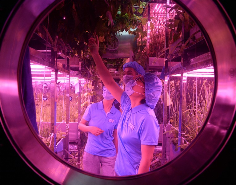 Photo showing the Lunar Palace 1 laboratory at Beihang University, Beijing