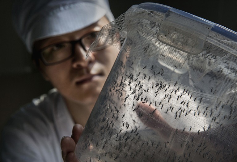 Photo of researcher at the Sun Yat-Sen University-Michigan University Joint Center of Vector Control for Tropical Disease