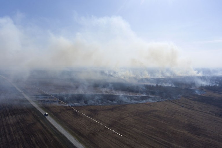 An aerial view of a grass fire in the fields in Bolotnoye District, south Siberia