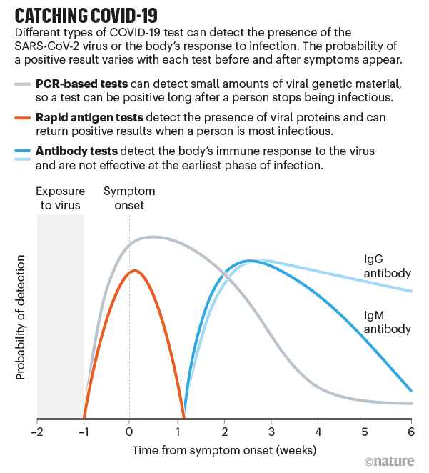 Fast coronavirus tests what they can and can’t do