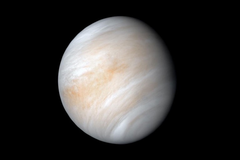 A contrast-enhanced version of Venus