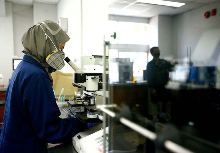 A researcher wearing a face mask and a head covering looks into a microscope in a laboratory