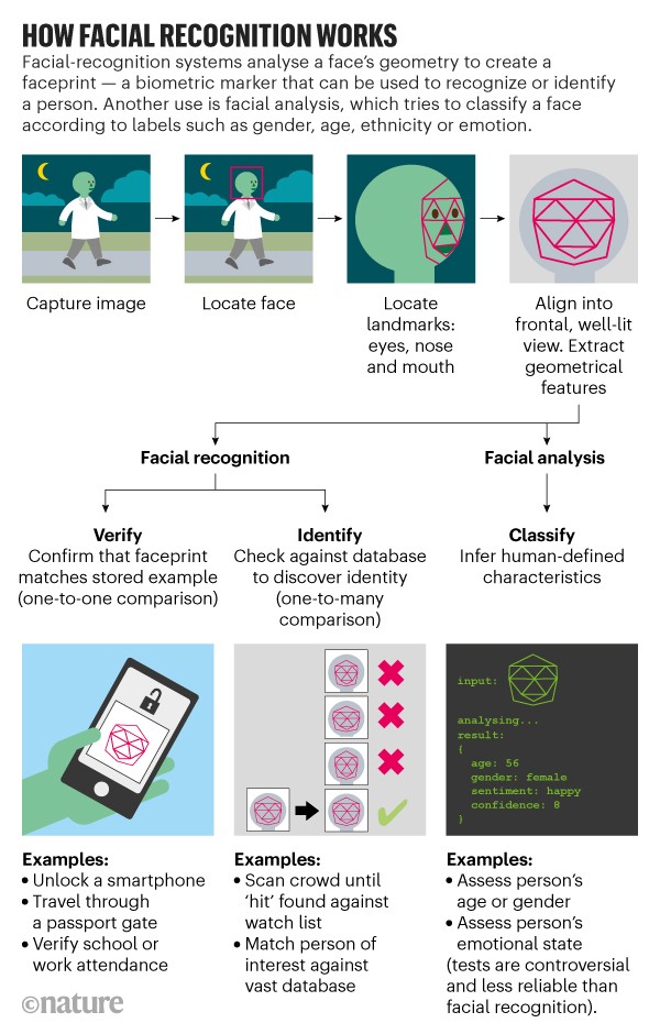 Infographic: How facial recognition works. Flowchart showing how systems verify, identify and classify faces in images.