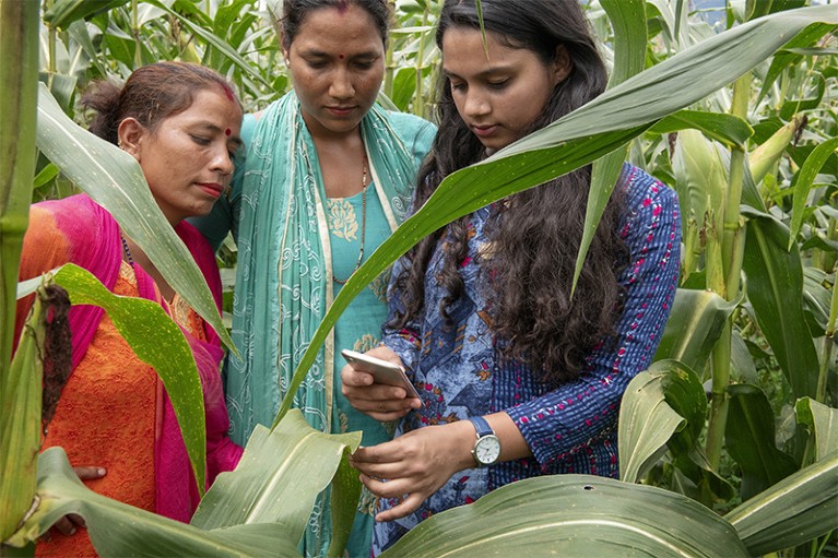 A researcher demonstrates the Plantix app to a farmer in the field