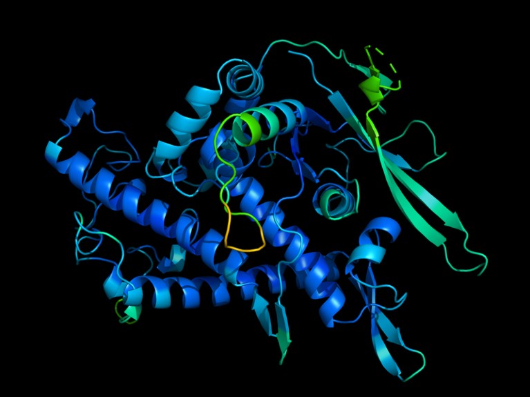 T1037, part of a protein from (Cellulophaga baltica crAss-like) phage phi14:2, a virus that infects bacteria.