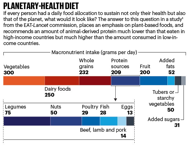 Healthy People, Healthy Planet: The Search For A Sustainable Global Diet