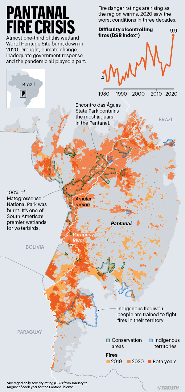 A Huge Wetland Is Burning In Brazil And The Fires Are Far Bigger Than   D41586 020 03464 1 18656390 