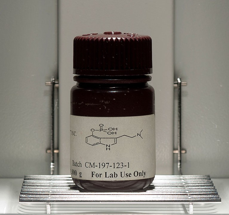 合成裸盖菇素在纽约大学牙科学院的一个受限的壁橱里
