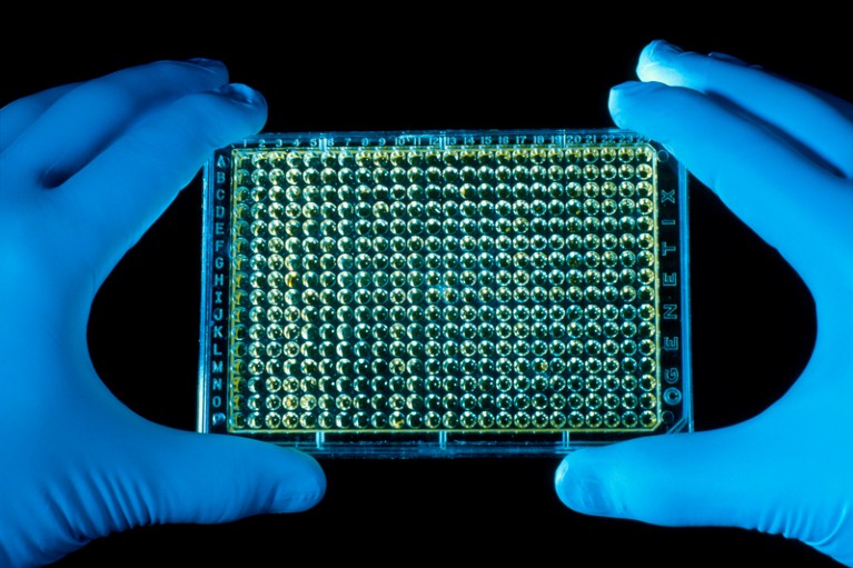 Gloved hands holding a tray containing part of the human genome