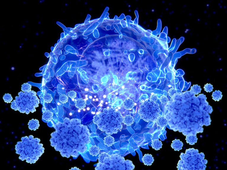 Illustration of a T cell targeting SARS-CoV-2 particles, in blue on a black background..