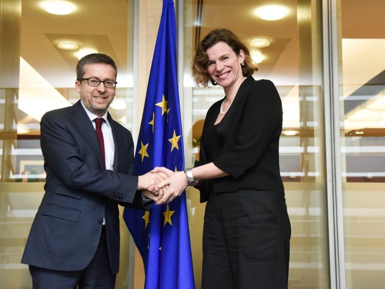 一个男人和女人握手的欧盟旗帜。
