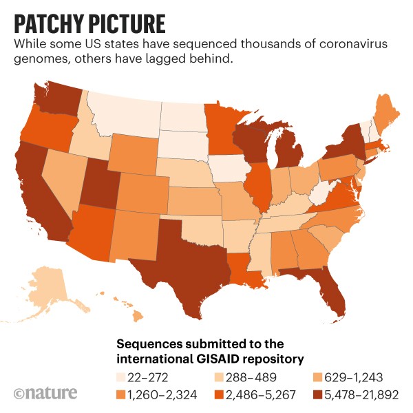 Patchy picture: Map of the US showing number of sequences submitted to the international GISAID repository by state.