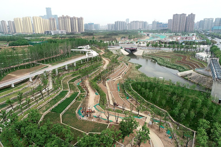 Photo shows urban ecological park in Xi'an, China