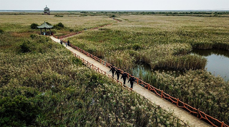 Photo shows police patrol near the wetland landscape of the Yellow River Estuary ecotourism area