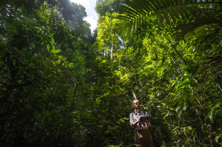 James Ball, PhD student at University of Cambridge does forest inventory in Guyana.
