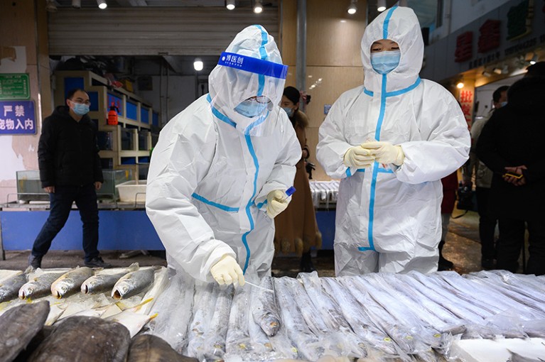 Health officers wearing personal protective equipment (PPE) collect COVID-19 coronavirus test samples at a fresh market in China