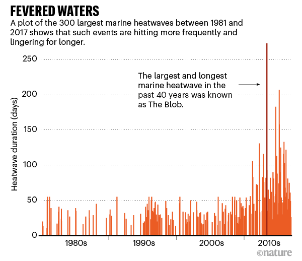 Fevered waters. A chart showing how marine heatwaves became longer and more frequent in the past 40 years.